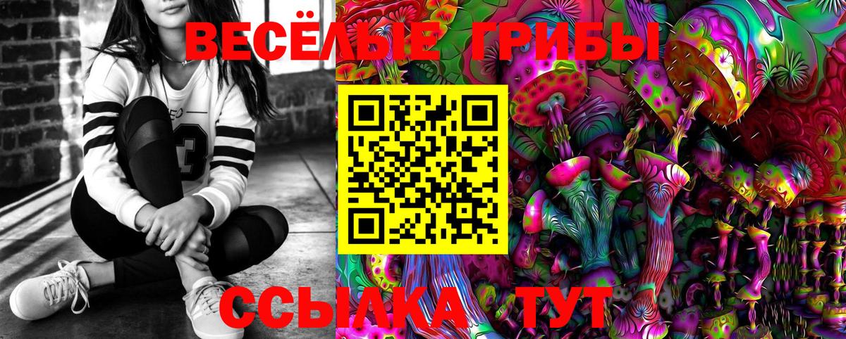 Псилоцибиновые грибы ЛСД  Псилоцибиновые грибы ЛСД  Кемерово  Вход с VPN 