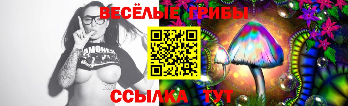 Псилоцибиновые грибы Magic Shrooms Кемерово